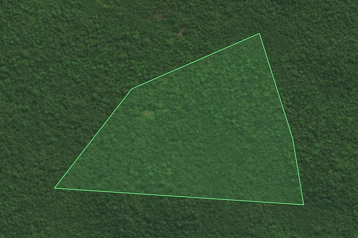 Imagem de satélite do imóvel rural em Guaraqueçaba (PR), com o contorno declarado no CAR desenhado por cima.