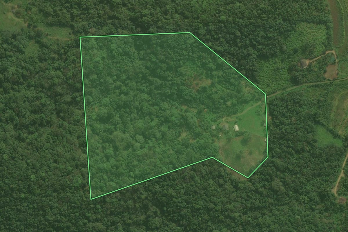 Imagem de satélite do imóvel rural em Guaraqueçaba (PR), com o contorno declarado no CAR desenhado por cima.