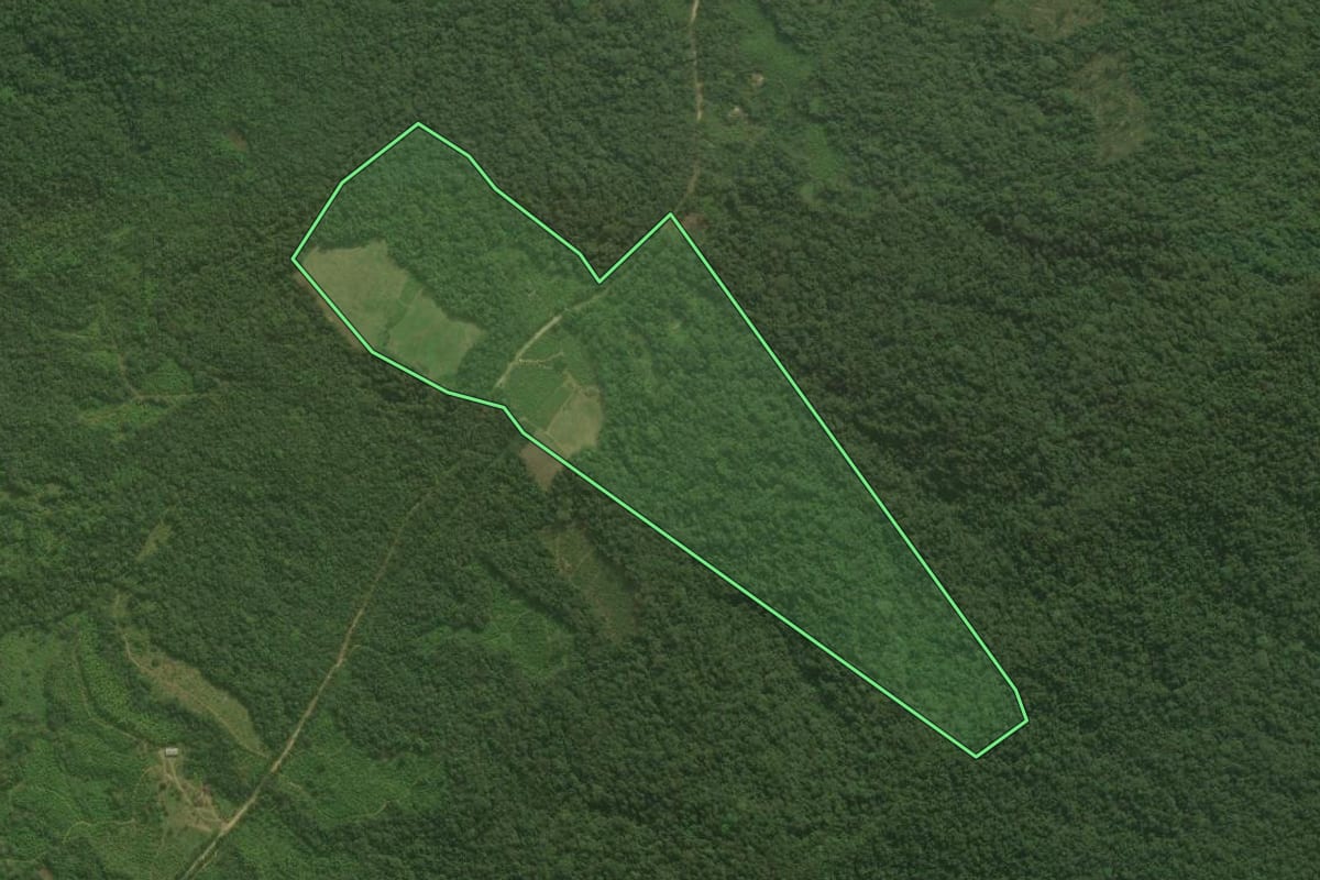 Imagem de satélite do imóvel rural em Guaraqueçaba (PR), com o contorno declarado no CAR desenhado por cima.