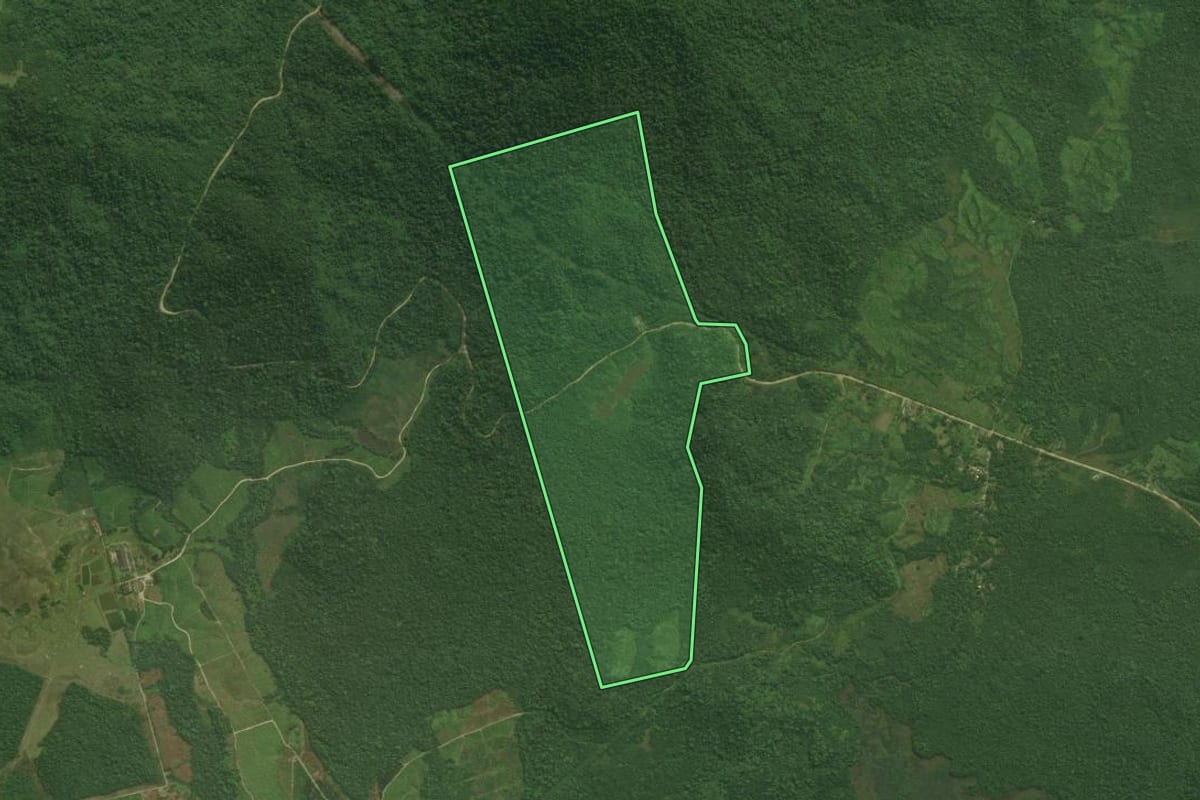 Imagem de satélite do imóvel rural em Guaraqueçaba (PR), com o contorno declarado no CAR desenhado por cima.