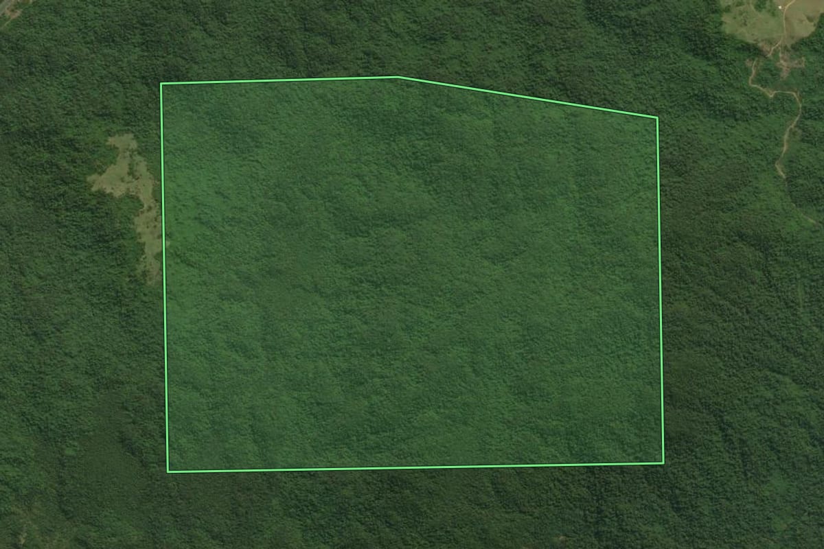 Imagem de satélite do imóvel rural em Guaraqueçaba (PR), com o contorno declarado no CAR desenhado por cima.