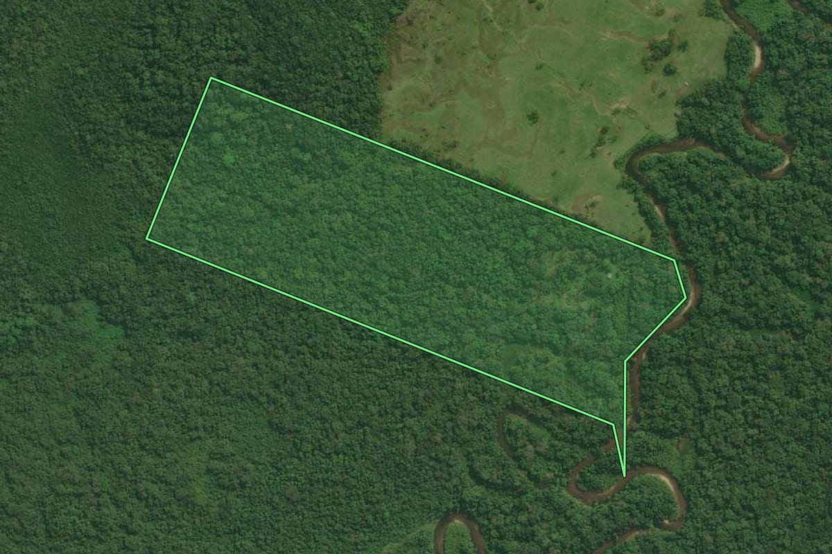Imagem de satélite do imóvel rural em Guaraqueçaba (PR), com o contorno declarado no CAR desenhado por cima.