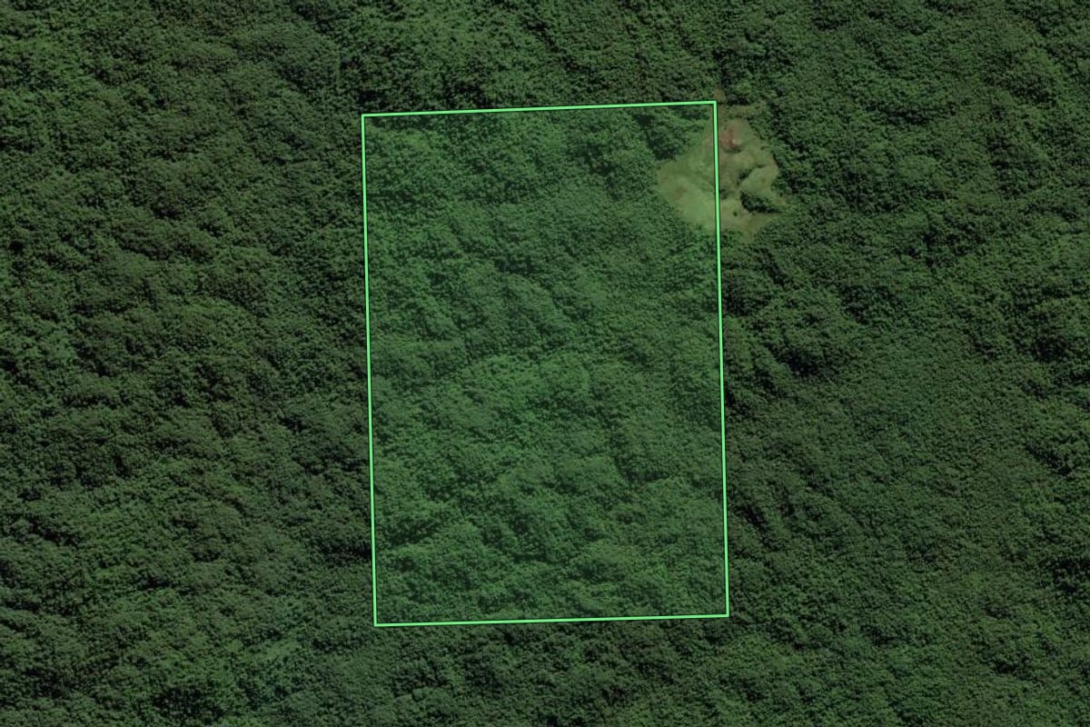Imagem de satélite do imóvel rural em Guaraqueçaba (PR), com o contorno declarado no CAR desenhado por cima.