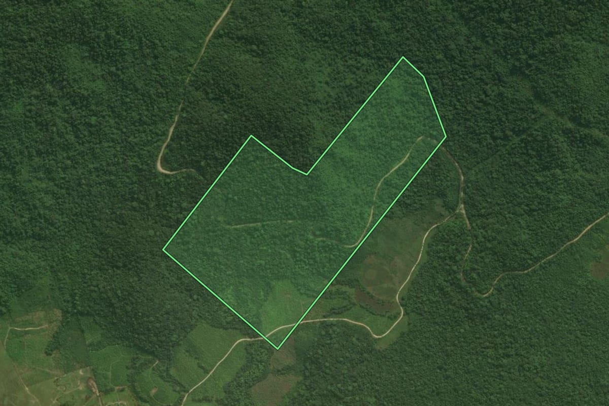Imagem de satélite do imóvel rural em Guaraqueçaba (PR), com o contorno declarado no CAR desenhado por cima.