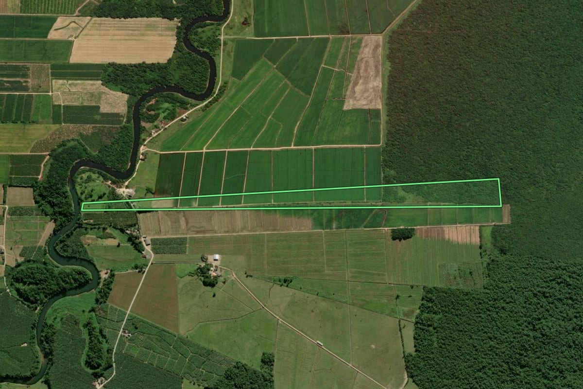 Imagem de satélite do imóvel rural em Guaratuba (PR), com o contorno declarado no CAR desenhado por cima.