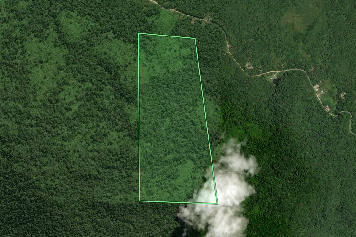 Imagem de satélite do imóvel rural em Guaratuba (PR), com o contorno declarado no CAR desenhado por cima.
