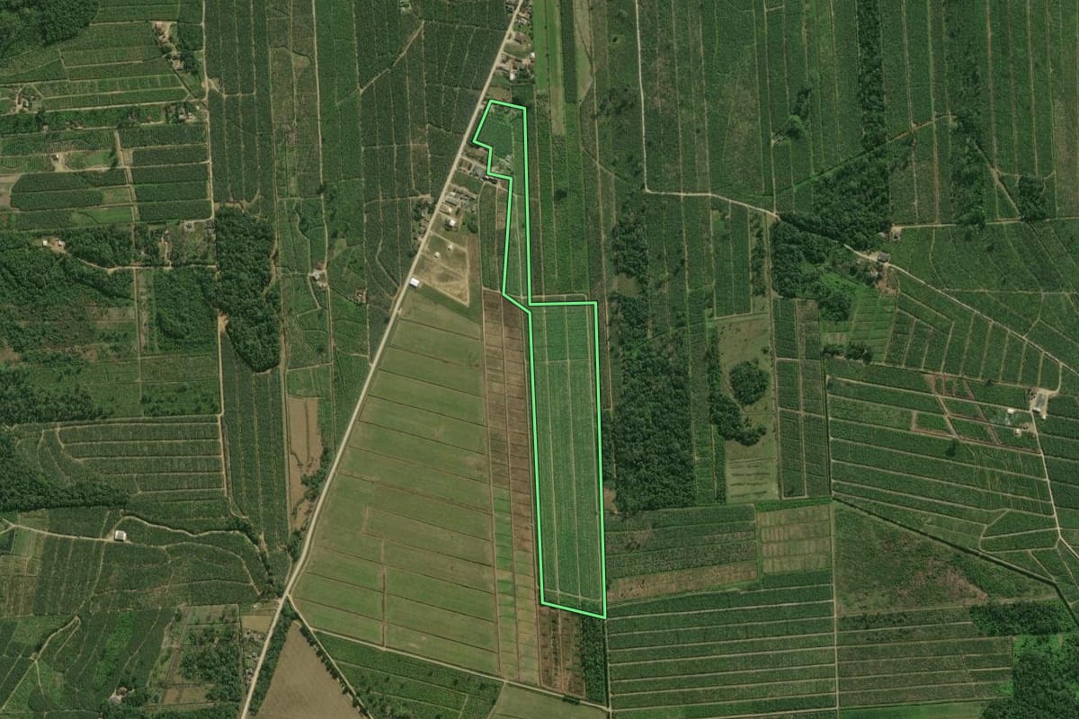 Imagem de satélite do imóvel rural em Guaratuba (PR), com o contorno declarado no CAR desenhado por cima.