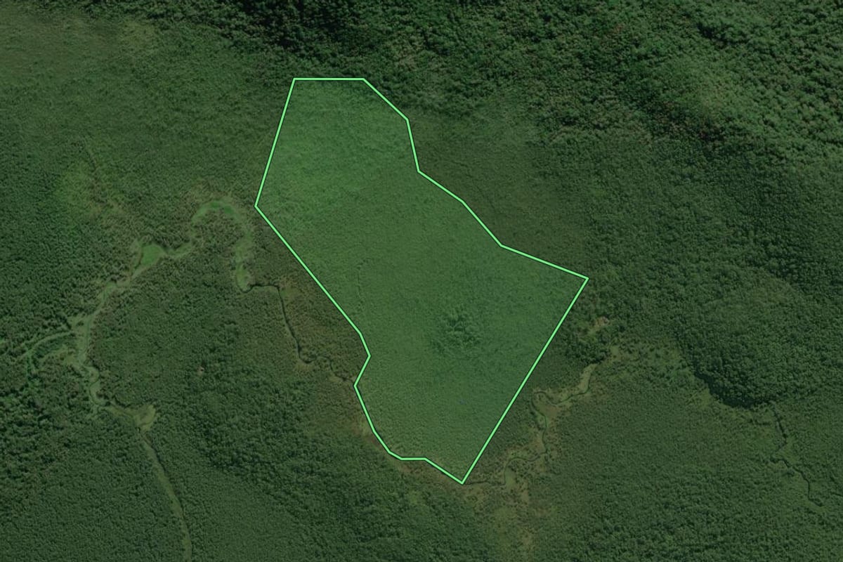 Imagem de satélite do imóvel rural em Guaratuba (PR), com o contorno declarado no CAR desenhado por cima.