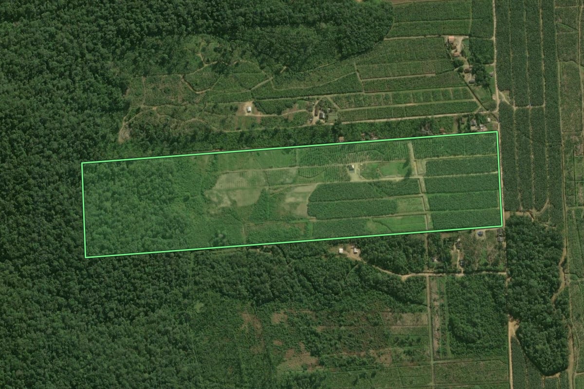 Imagem de satélite do imóvel rural em Guaratuba (PR), com o contorno declarado no CAR desenhado por cima.