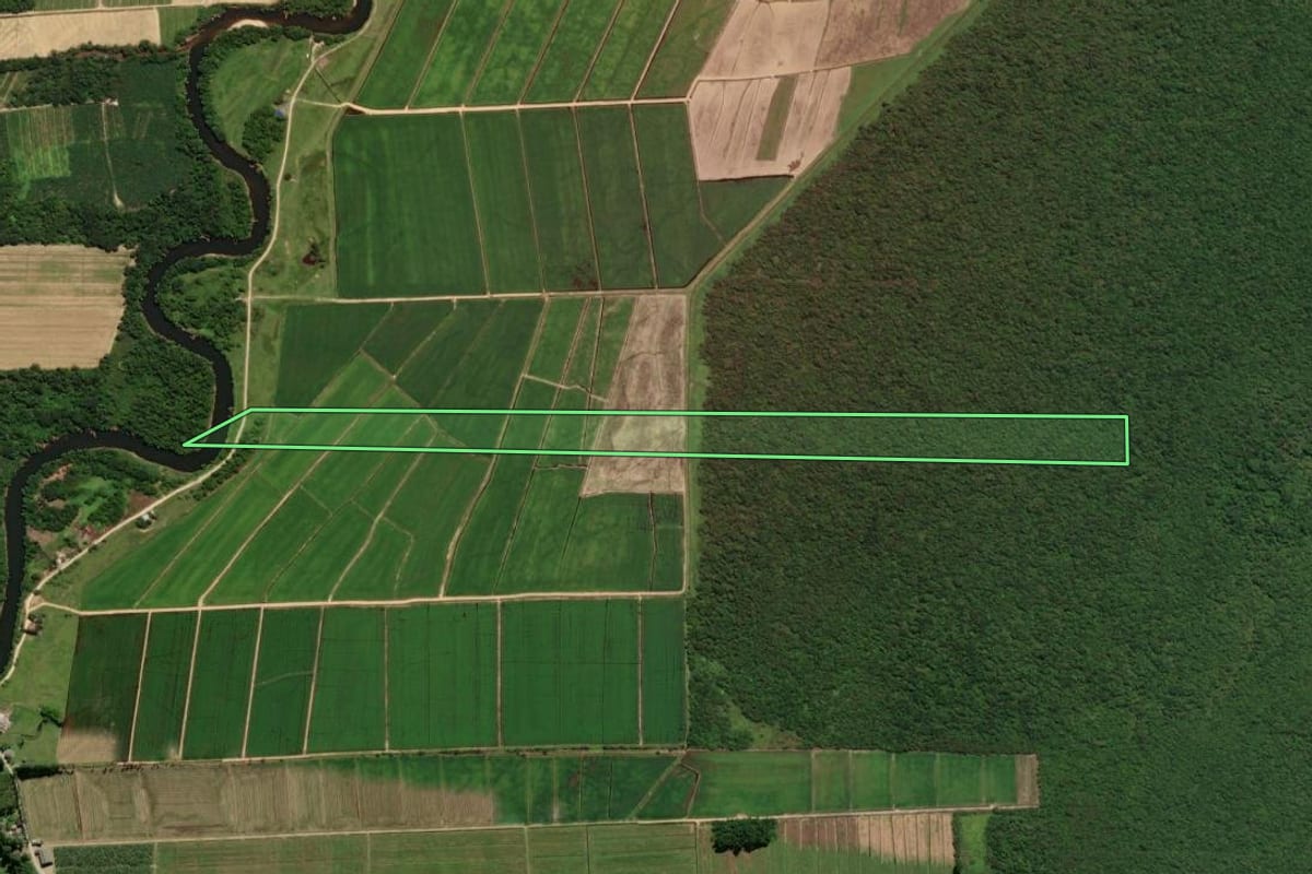 Imagem de satélite do imóvel rural em Guaratuba (PR), com o contorno declarado no CAR desenhado por cima.