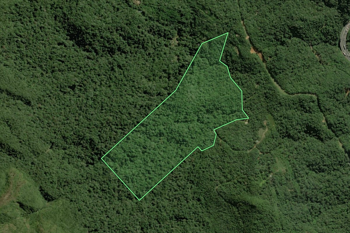 Imagem de satélite do imóvel rural em Guaratuba (PR), com o contorno declarado no CAR desenhado por cima.