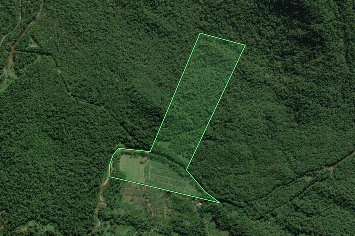 Imagem de satélite do imóvel rural em Guaratuba (PR), com o contorno declarado no CAR desenhado por cima.