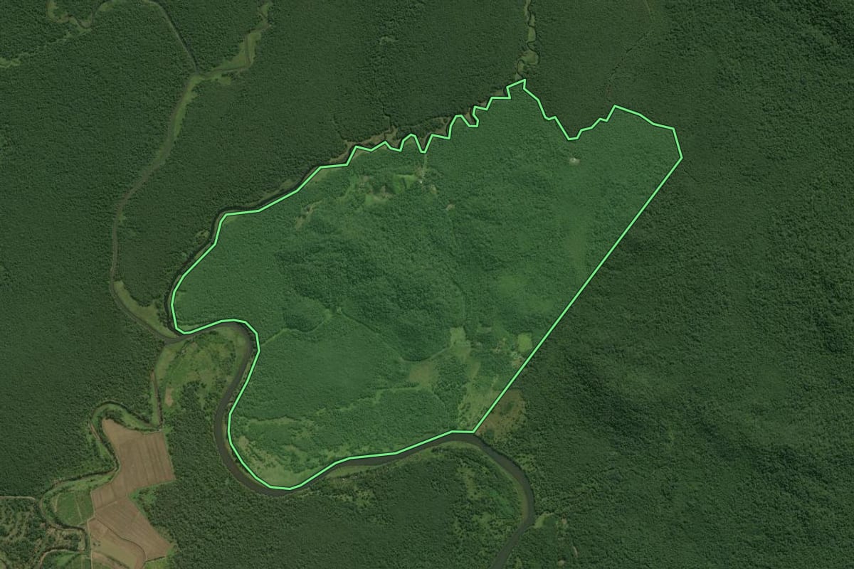 Imagem de satélite do imóvel rural em Guaratuba (PR), com o contorno declarado no CAR desenhado por cima.