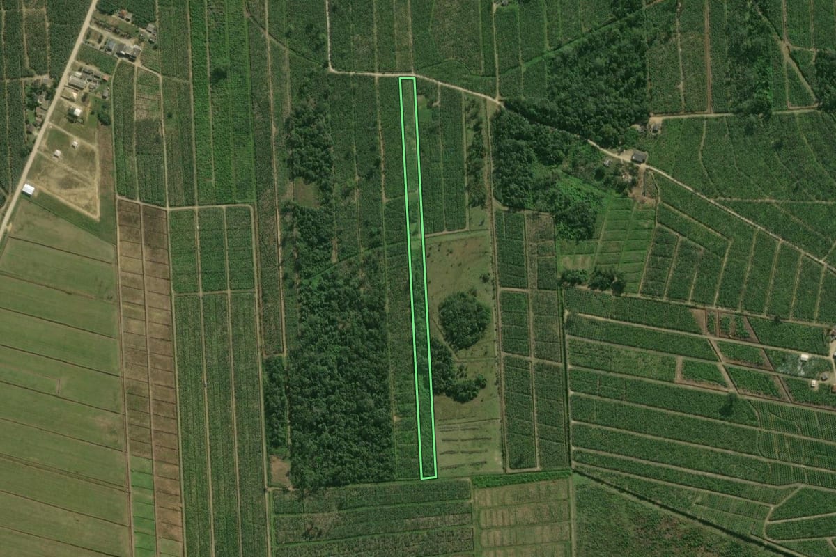 Imagem de satélite do imóvel rural em Guaratuba (PR), com o contorno declarado no CAR desenhado por cima.
