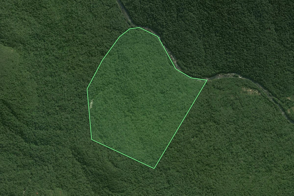 Imagem de satélite do imóvel rural em Guaratuba (PR), com o contorno declarado no CAR desenhado por cima.