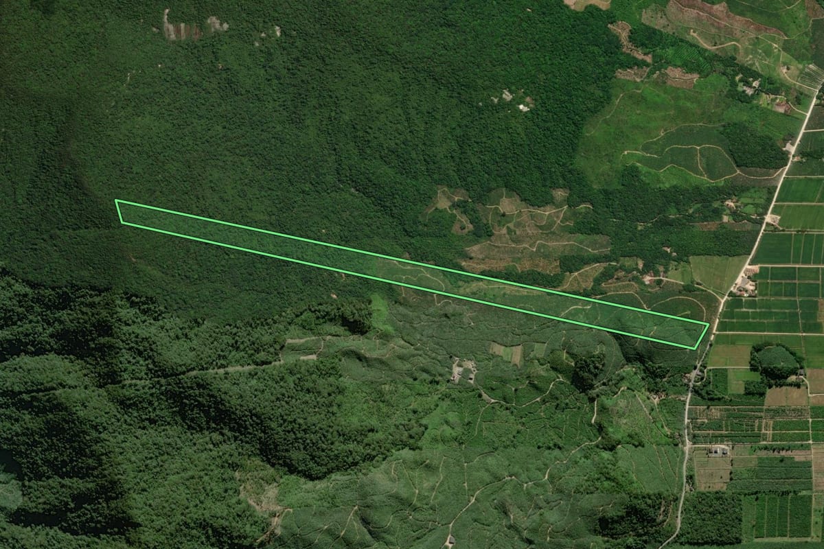 Imagem de satélite do imóvel rural em Guaratuba (PR), com o contorno declarado no CAR desenhado por cima.