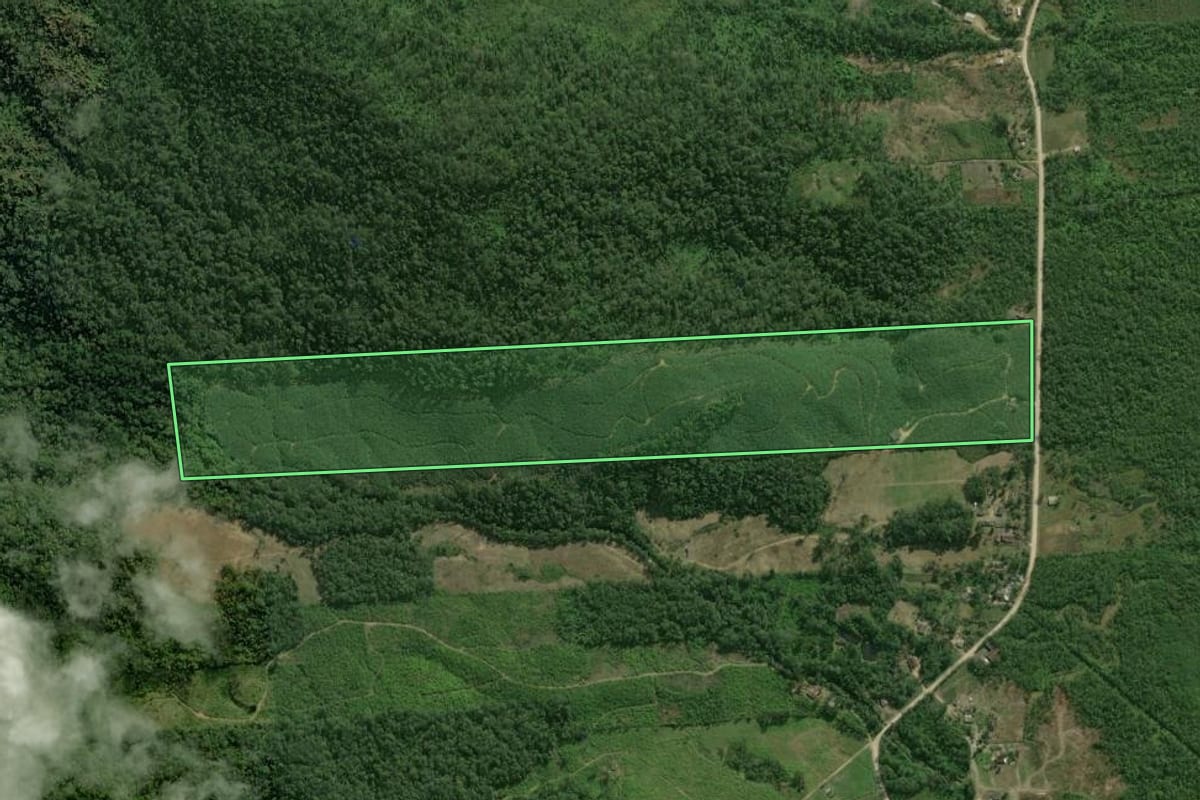 Imagem de satélite do imóvel rural em Guaratuba (PR), com o contorno declarado no CAR desenhado por cima.