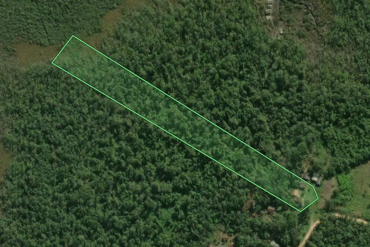 Imagem de satélite do imóvel rural em Guaratuba (PR), com o contorno declarado no CAR desenhado por cima.