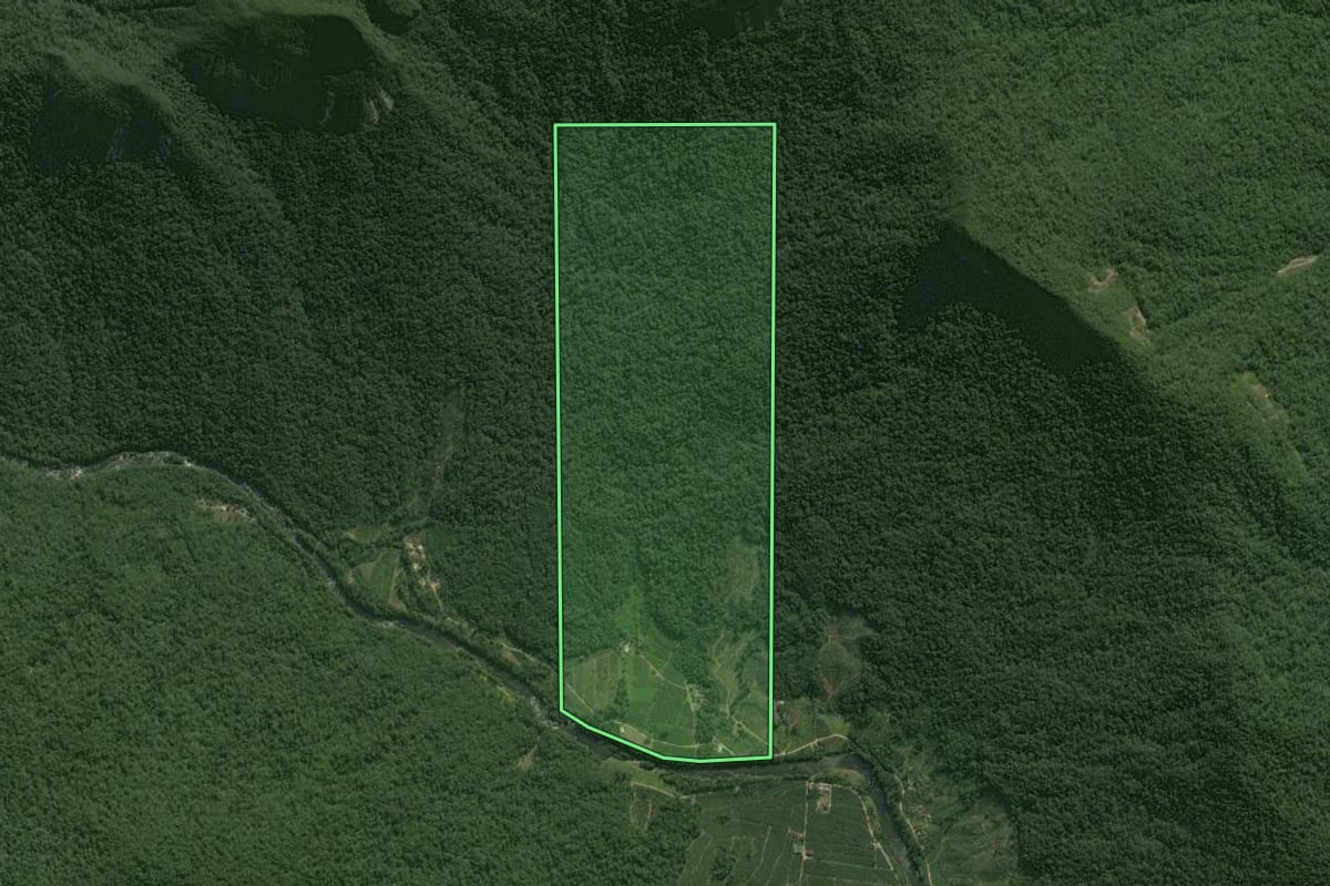 Imagem de satélite do imóvel rural em Guaratuba (PR), com o contorno declarado no CAR desenhado por cima.
