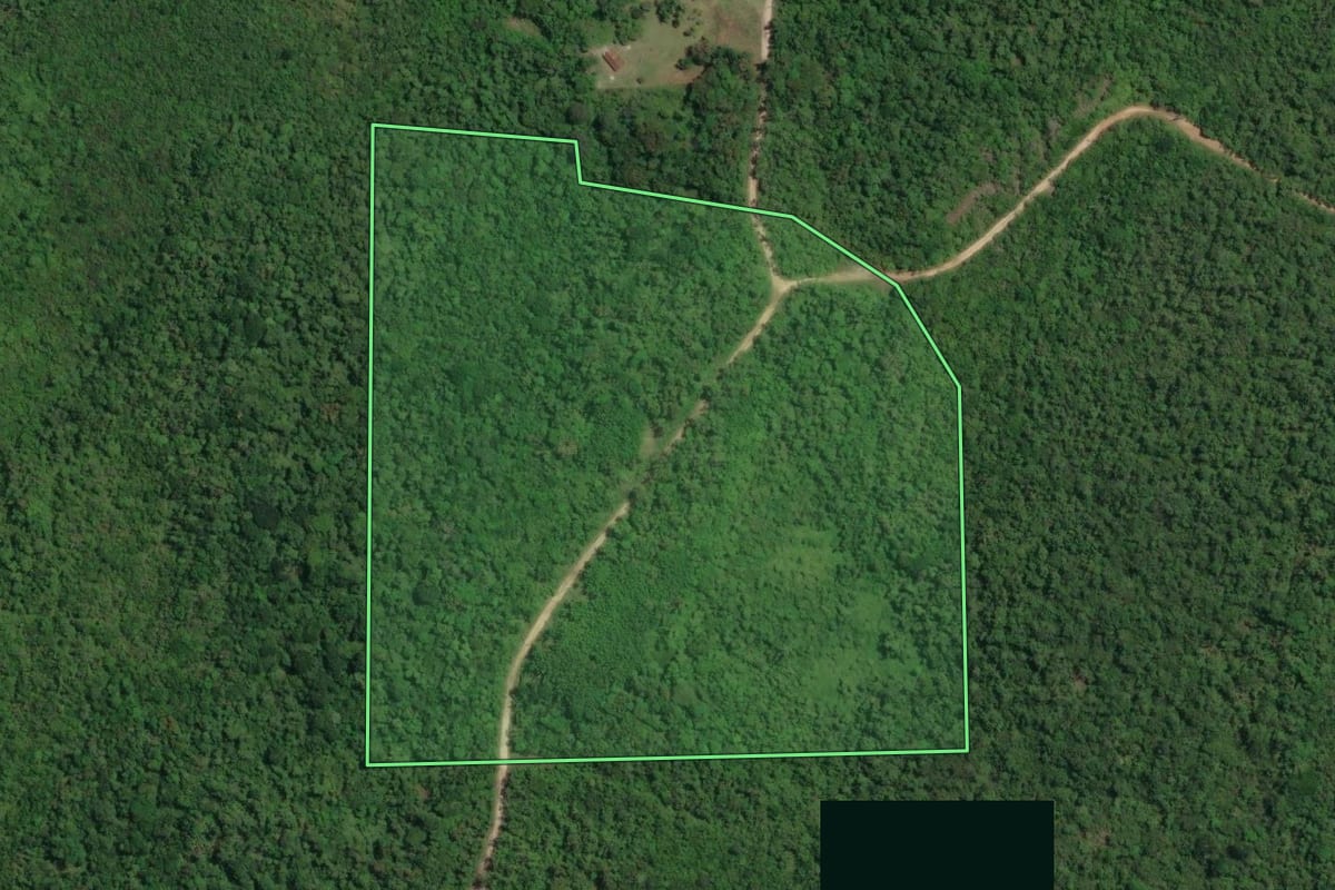 Imagem de satélite do imóvel rural em Guaratuba (PR), com o contorno declarado no CAR desenhado por cima.