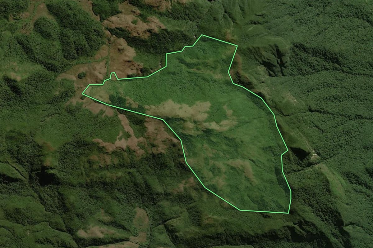 Imagem de satélite do imóvel rural em Guaratuba (PR), com o contorno declarado no CAR desenhado por cima.