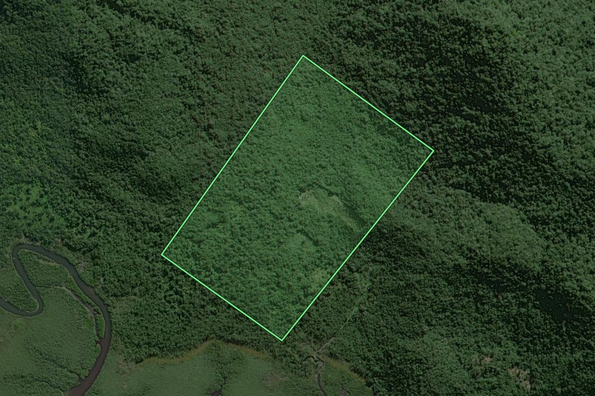 Imagem de satélite do imóvel rural em Guaratuba (PR), com o contorno declarado no CAR desenhado por cima.