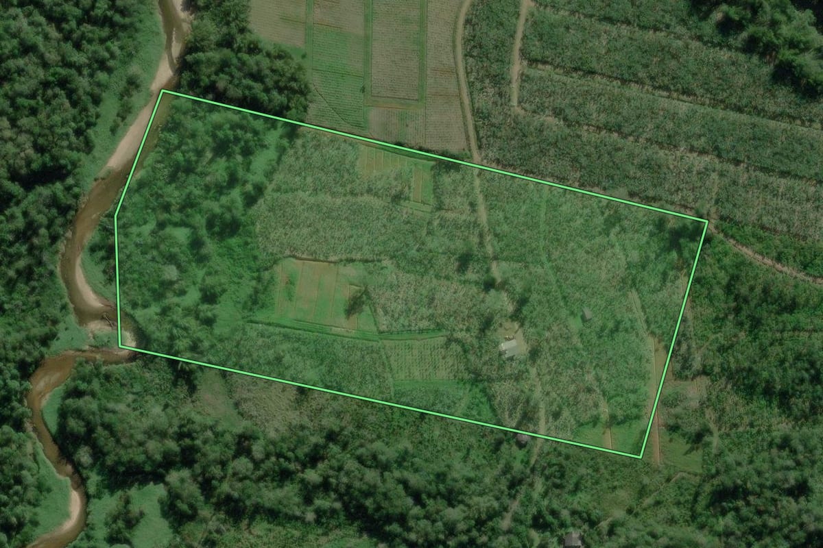 Imagem de satélite do imóvel rural em Guaratuba (PR), com o contorno declarado no CAR desenhado por cima.