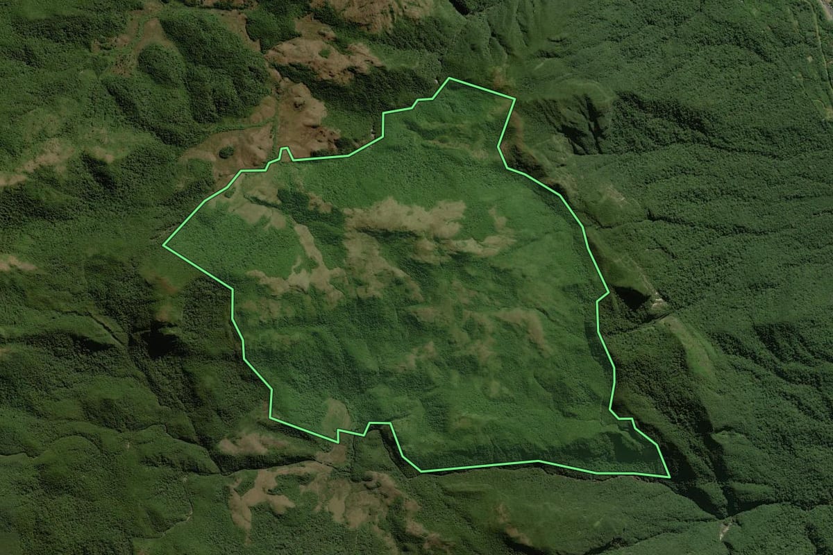 Imagem de satélite do imóvel rural em Guaratuba (PR), com o contorno declarado no CAR desenhado por cima.