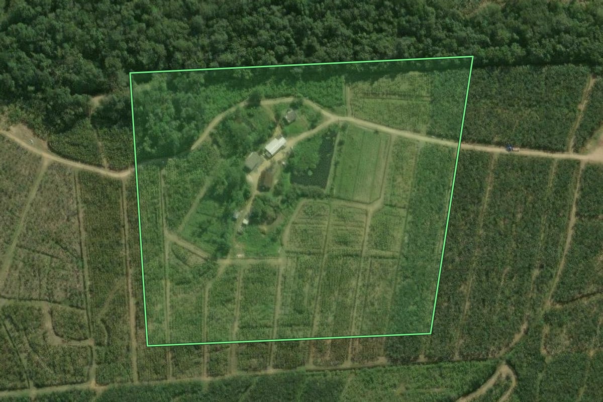Imagem de satélite do imóvel rural em Guaratuba (PR), com o contorno declarado no CAR desenhado por cima.