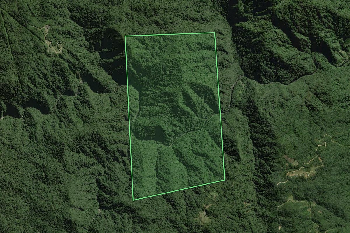 Imagem de satélite do imóvel rural em Guaratuba (PR), com o contorno declarado no CAR desenhado por cima.