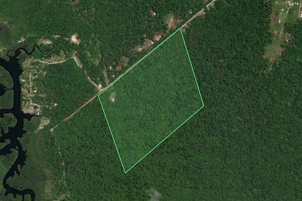 Imagem de satélite do imóvel rural em Guaratuba (PR), com o contorno declarado no CAR desenhado por cima.