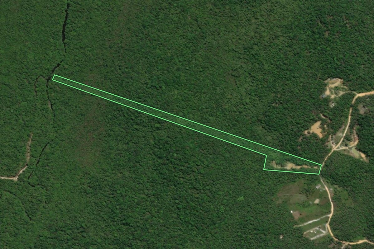 Imagem de satélite do imóvel rural em Guaratuba (PR), com o contorno declarado no CAR desenhado por cima.