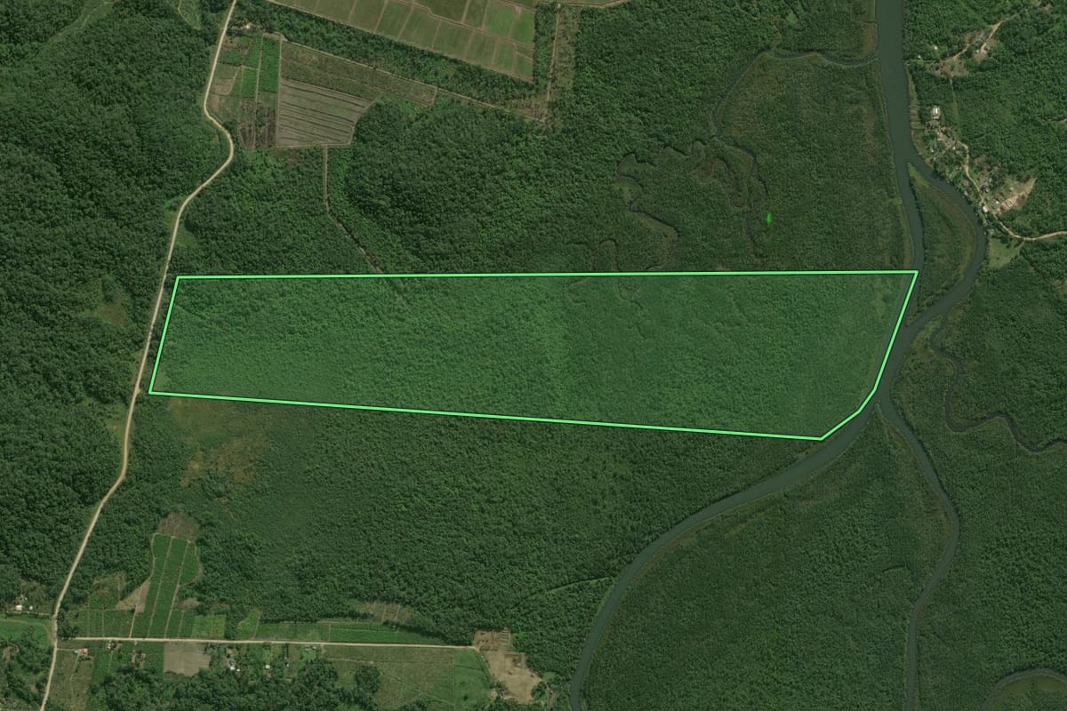 Imagem de satélite do imóvel rural em Guaratuba (PR), com o contorno declarado no CAR desenhado por cima.