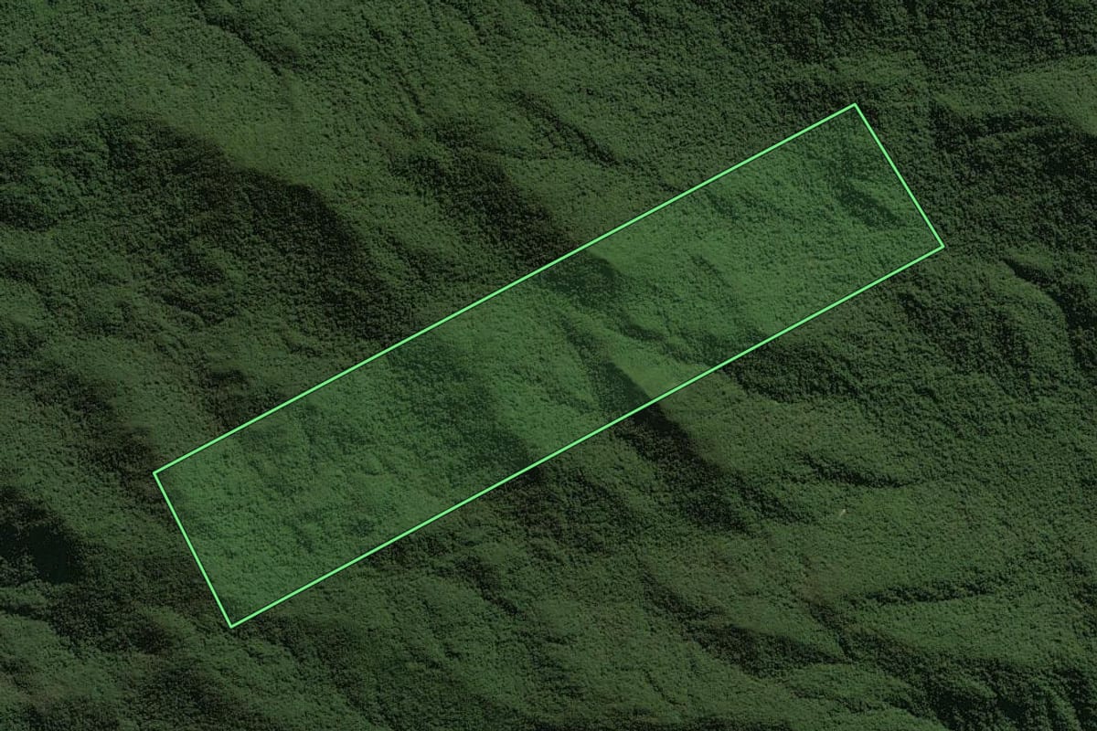 Imagem de satélite do imóvel rural em Guaratuba (PR), com o contorno declarado no CAR desenhado por cima.