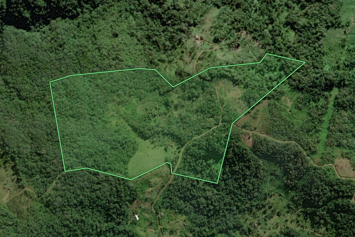 Imagem de satélite do imóvel rural em Guaratuba (PR), com o contorno declarado no CAR desenhado por cima.