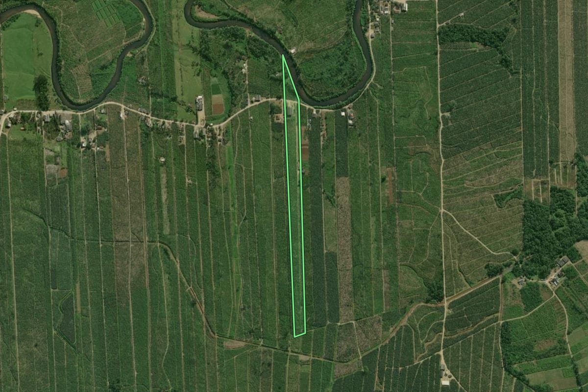 Imagem de satélite do imóvel rural em Guaratuba (PR), com o contorno declarado no CAR desenhado por cima.