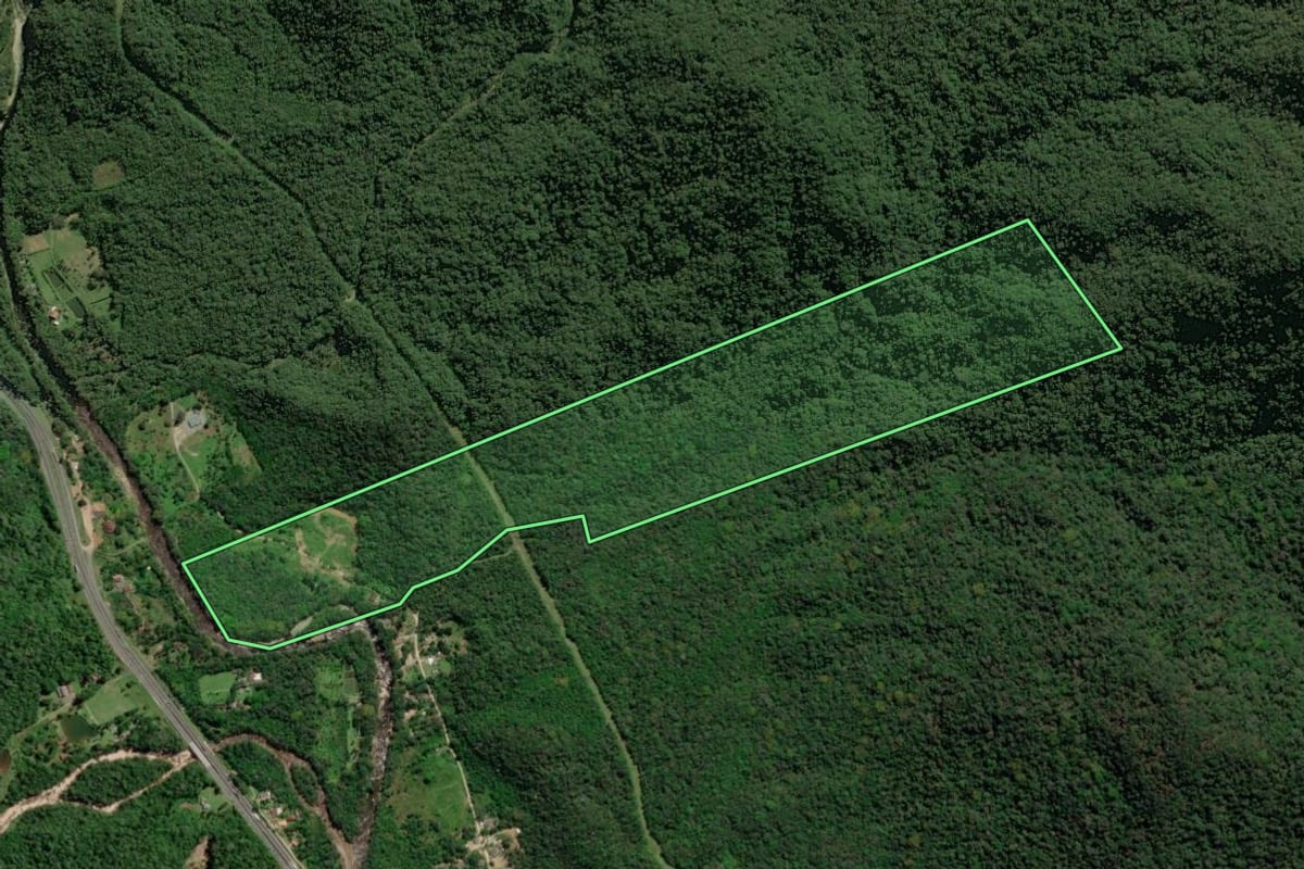 Imagem de satélite do imóvel rural em Guaratuba (PR), com o contorno declarado no CAR desenhado por cima.