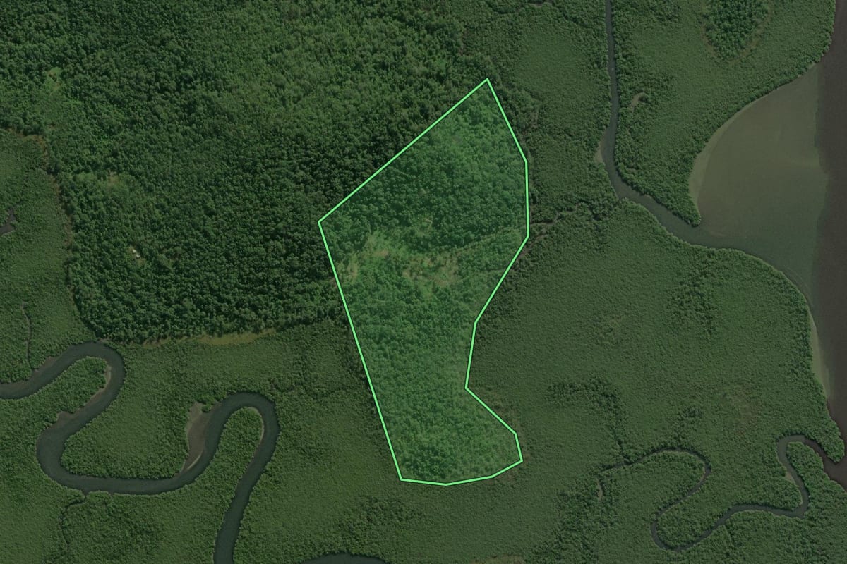 Imagem de satélite do imóvel rural em Guaratuba (PR), com o contorno declarado no CAR desenhado por cima.