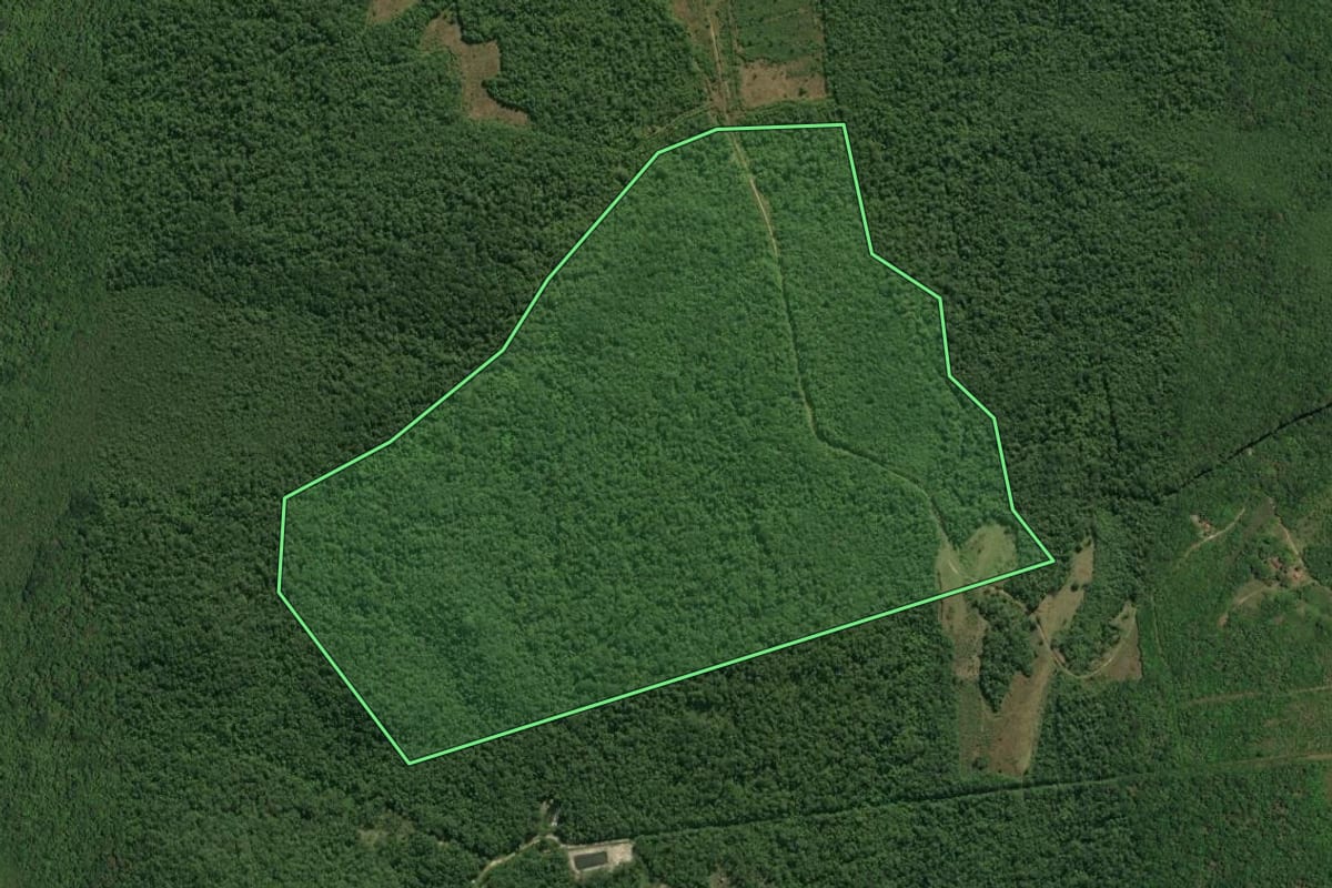 Imagem de satélite do imóvel rural em Guaratuba (PR), com o contorno declarado no CAR desenhado por cima.