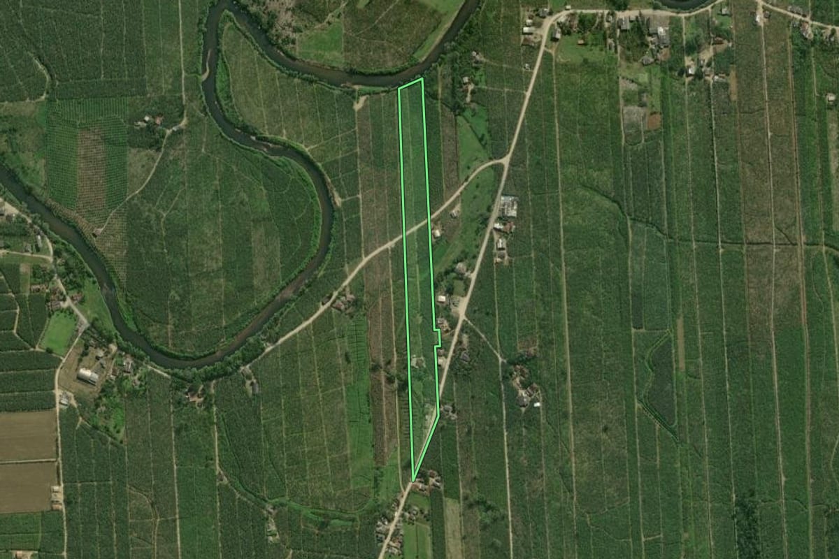 Imagem de satélite do imóvel rural em Guaratuba (PR), com o contorno declarado no CAR desenhado por cima.