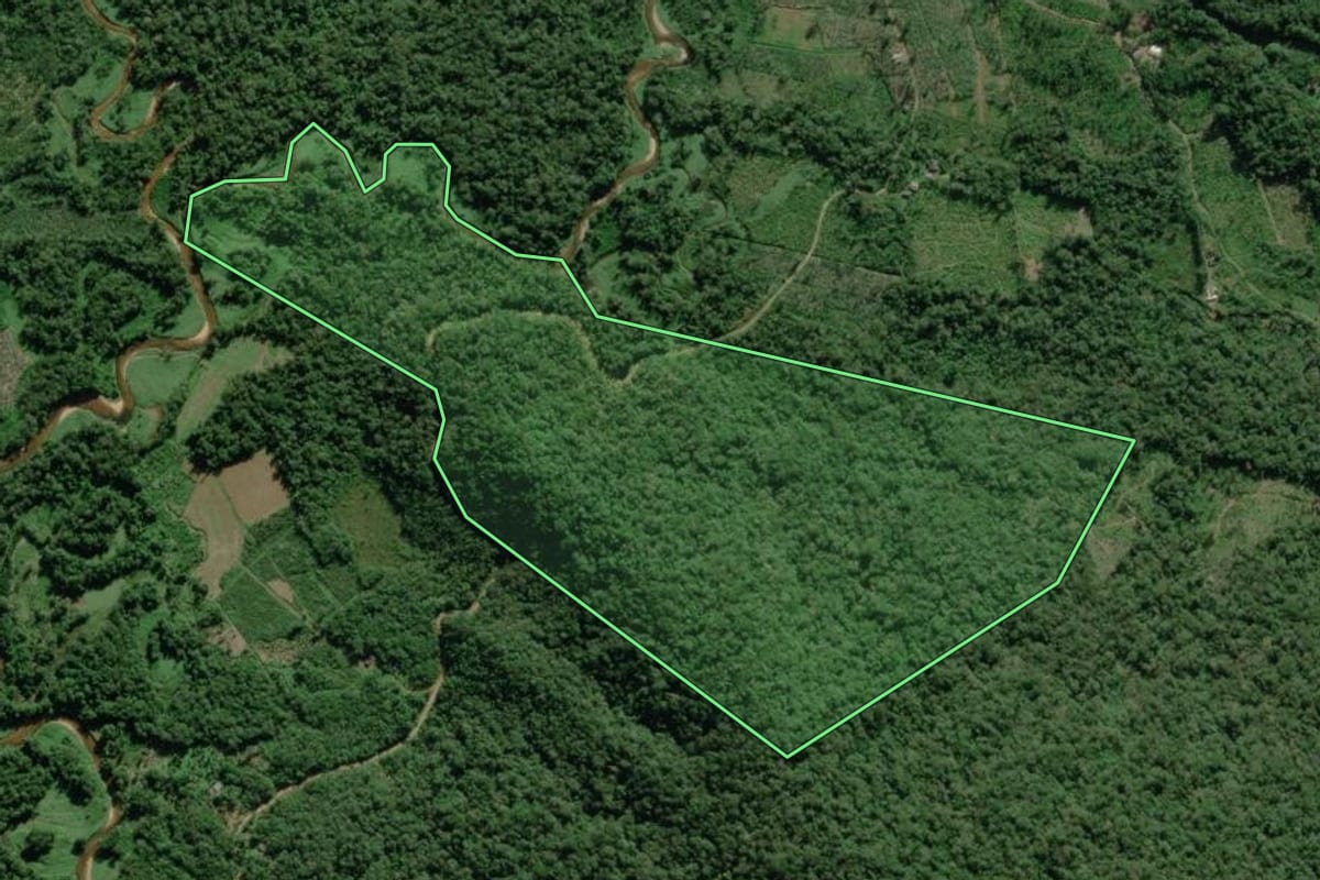 Imagem de satélite do imóvel rural em Guaratuba (PR), com o contorno declarado no CAR desenhado por cima.