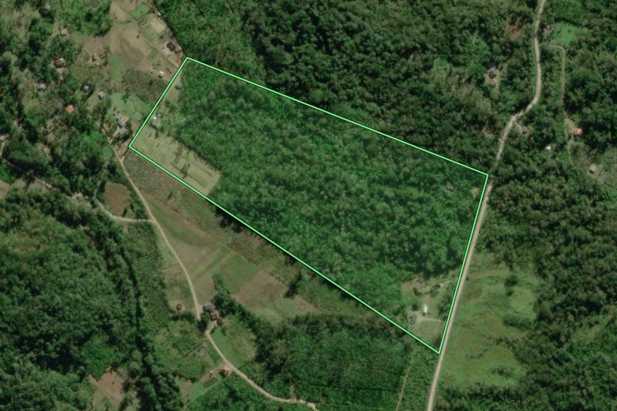 Imagem de satélite do imóvel rural em Guaratuba (PR), com o contorno declarado no CAR desenhado por cima.