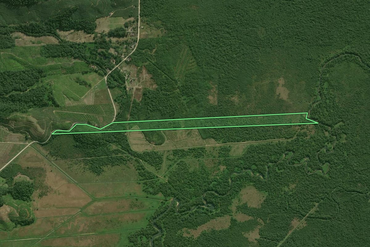 Imagem de satélite do imóvel rural em Guaratuba (PR), com o contorno declarado no CAR desenhado por cima.