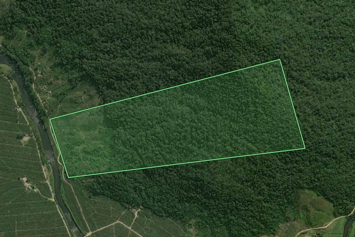 Imagem de satélite do imóvel rural em Guaratuba (PR), com o contorno declarado no CAR desenhado por cima.