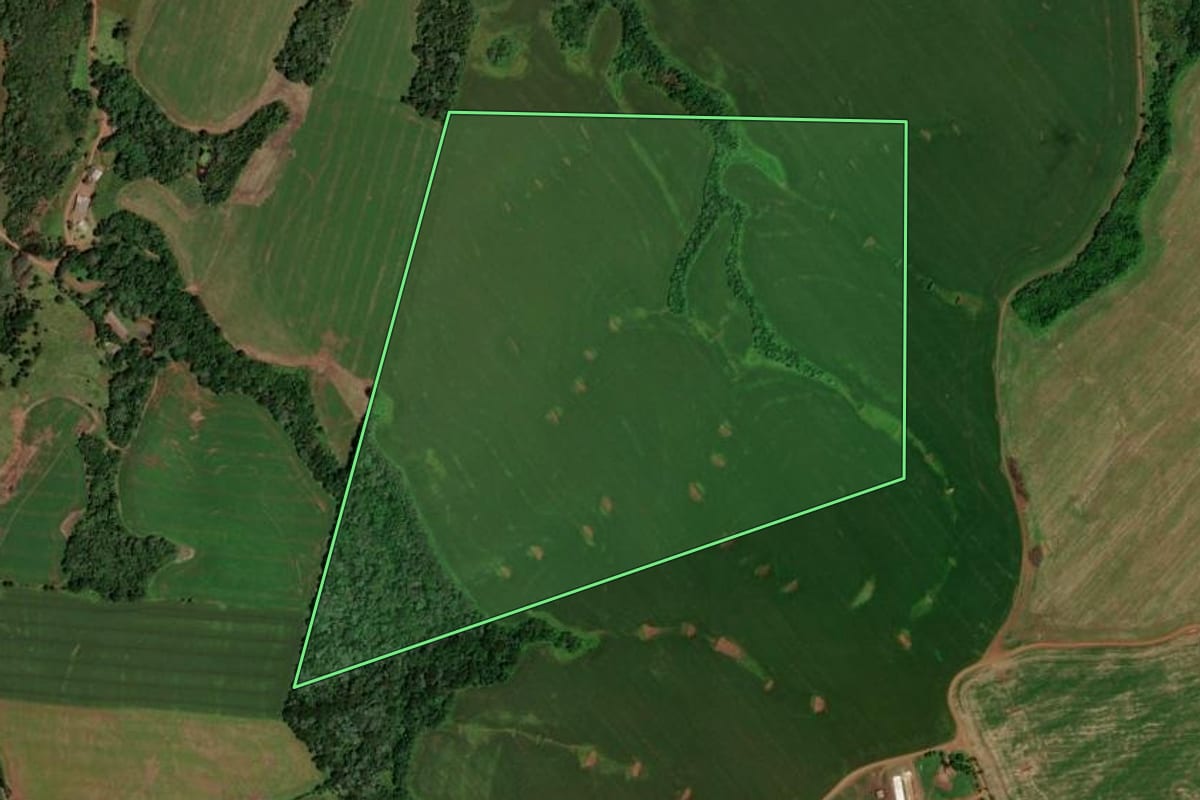 Imagem de satélite do imóvel rural em Honório Serpa (PR), com o contorno declarado no CAR desenhado por cima.