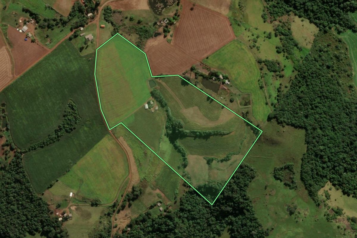 Imagem de satélite do imóvel rural em Honório Serpa (PR), com o contorno declarado no CAR desenhado por cima.