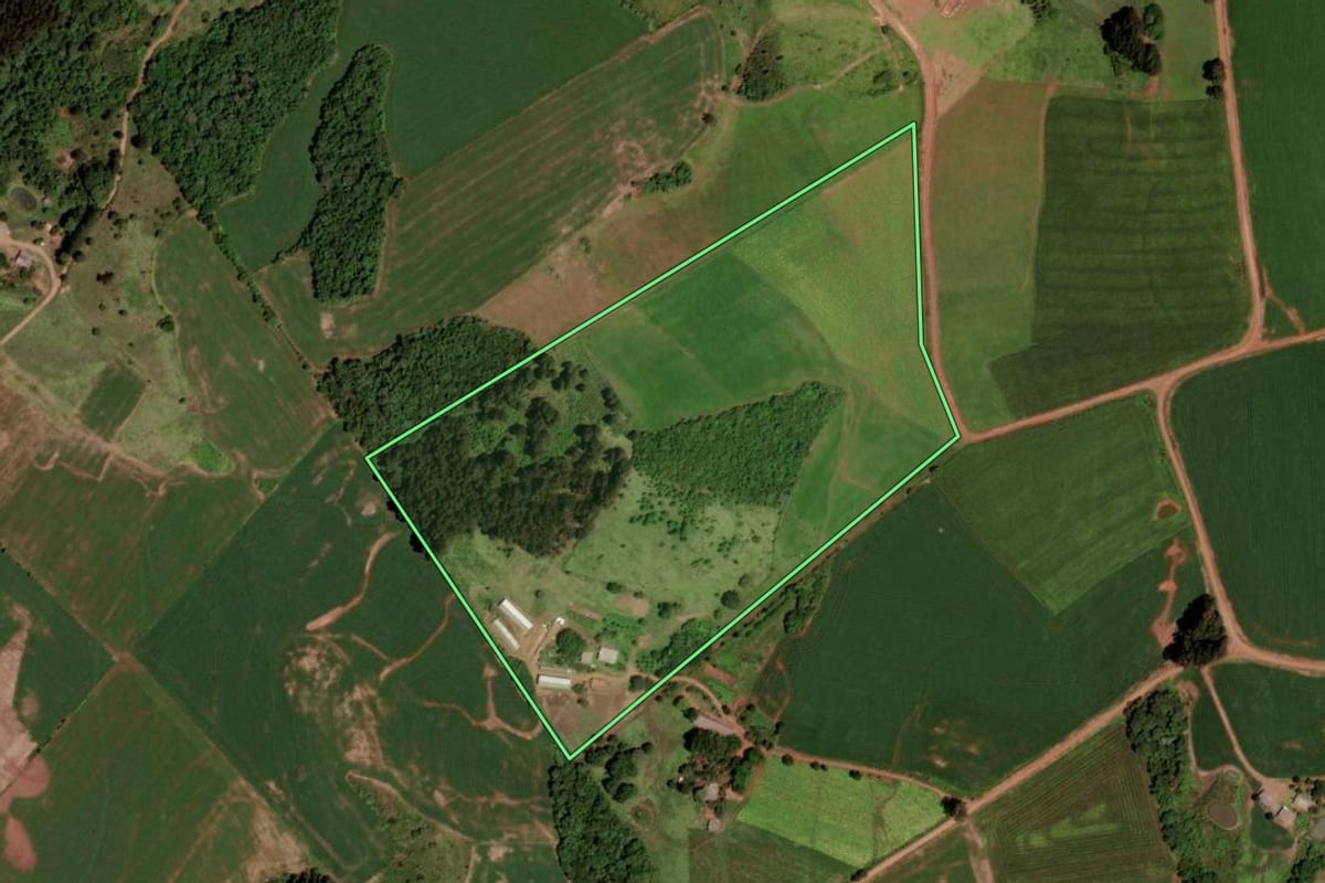 Imagem de satélite do imóvel rural em Honório Serpa (PR), com o contorno declarado no CAR desenhado por cima.