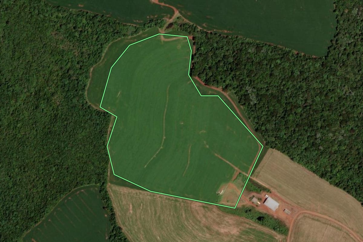 Imagem de satélite do imóvel rural em Honório Serpa (PR), com o contorno declarado no CAR desenhado por cima.