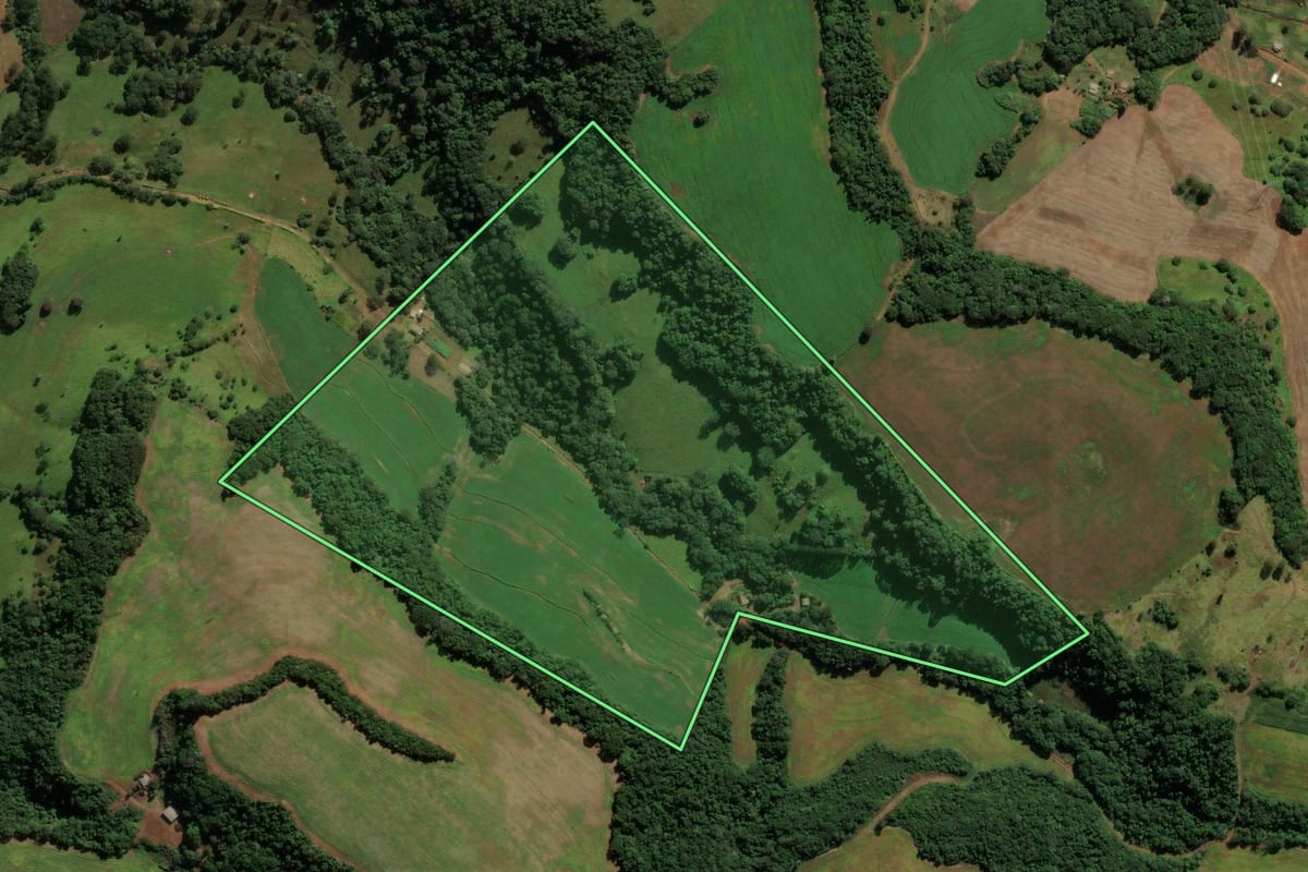 Imagem de satélite do imóvel rural em Honório Serpa (PR), com o contorno declarado no CAR desenhado por cima.