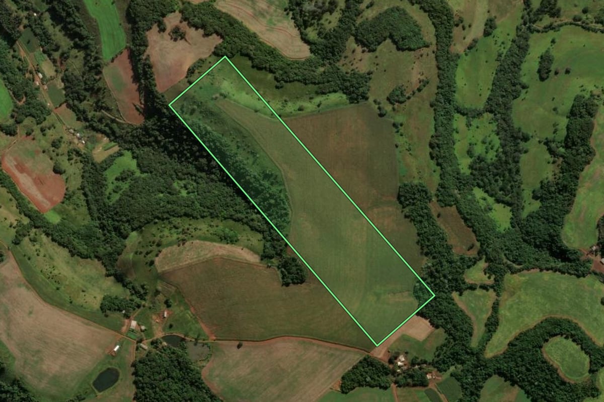Imagem de satélite do imóvel rural em Honório Serpa (PR), com o contorno declarado no CAR desenhado por cima.
